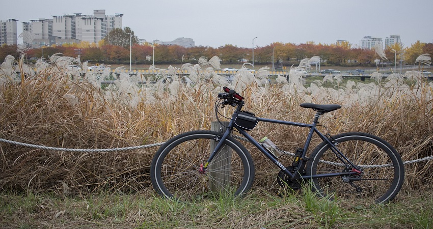 Are Hybrid Bikes Good For Beginners?
